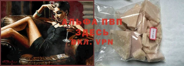 дмт Пересвет