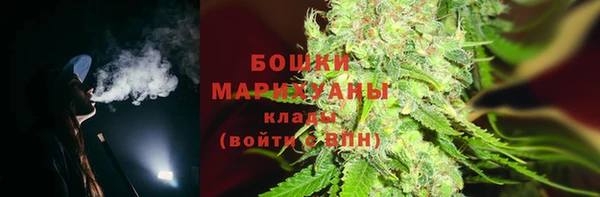 индика Аркадак
