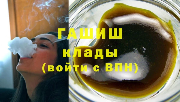 индика Аркадак