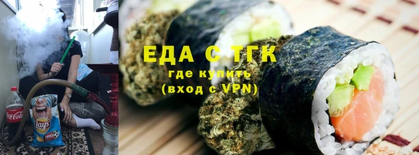 индика Аркадак