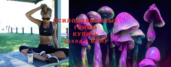не бодяженный Переславль-Залесский