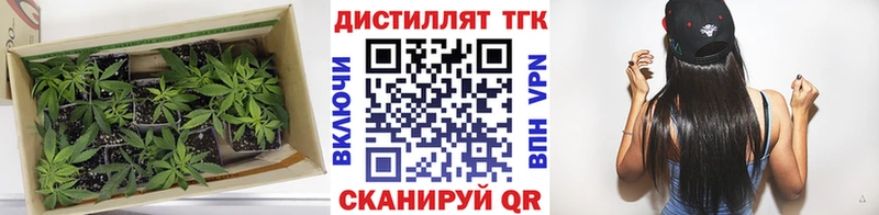 ТГК THC oil  Северобайкальск 