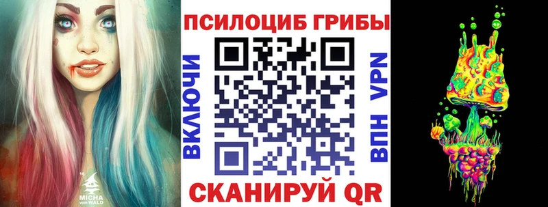 Галлюциногенные грибы Cubensis  Северобайкальск 
